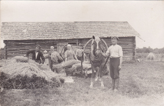 Heinäpellolla. Kuva: Seuran arkisto (Pesonen ML)