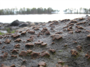 Jänisjärven rantakivi. Kuva: R.Viitakangas