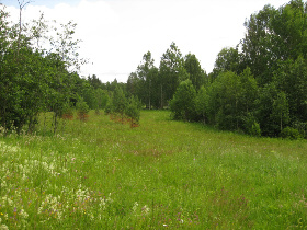 Kintsinniemestä. Kuva: R.Viitakangas