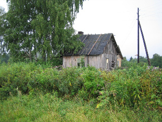 Huurinainen. Kuva: R.Viitakangas