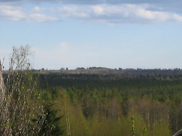 Helmelänvaaralta Kintsinlahden yli kirkonkylälle 2007. Kuva:R.Viitakangas.