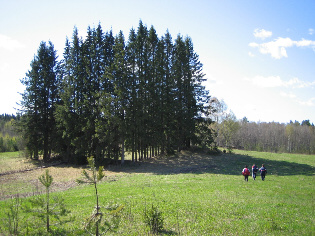 Jalovaarassa. Kuva:R.Viitakangas