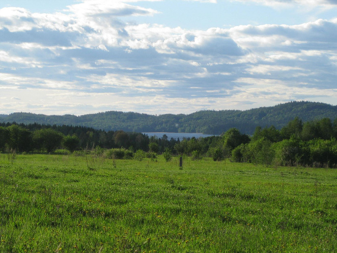 Kuusikkomäeltä Kintsinlahdelle 2011. Kuva: R.Viitakangas.