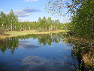 Soanjoki. Kuva:R Viitakangas