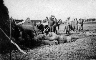 Heinäpellolla. Kuva: Seuran arkisto (Pylkkönen).