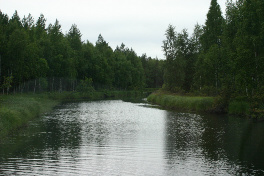 Soanjoki. Kuva:R.Viitakangas.